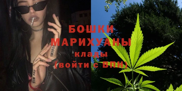молекула духа Сосновоборск