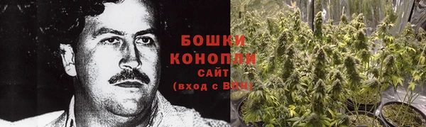 PSILOCYBIN Богданович