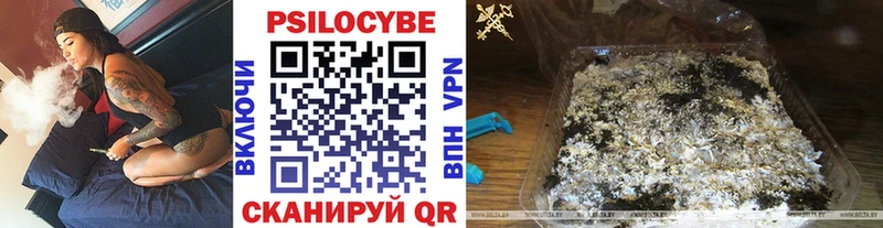 Галлюциногенные грибы MAGIC MUSHROOMS  закладка  Свирск 